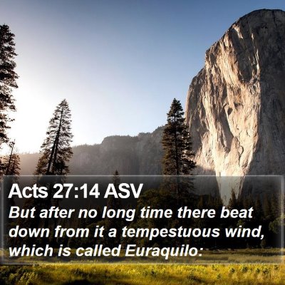 Acts 27:14 ASV Bible Verse Image