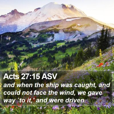 Acts 27:15 ASV Bible Verse Image