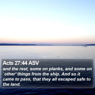 Acts 27:44 ASV Bible Verse Image