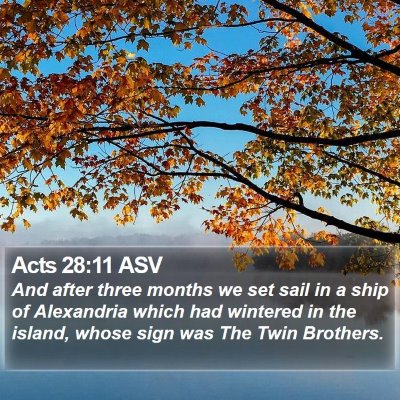 Acts 28:11 ASV Bible Verse Image