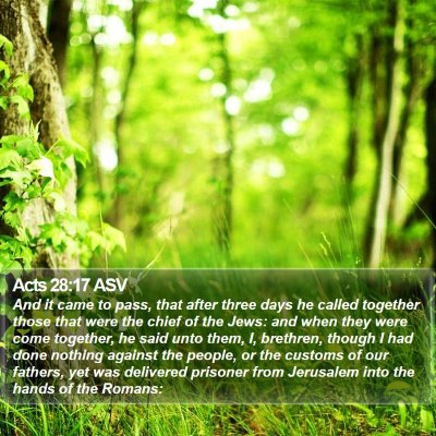 Acts 28:17 ASV Bible Verse Image
