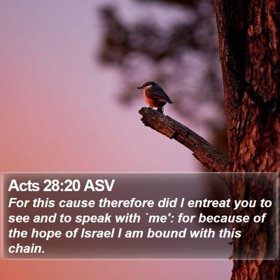 Acts 28:20 ASV Bible Verse Image