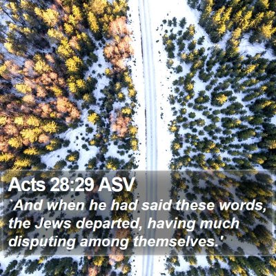 Acts 28:29 ASV Bible Verse Image