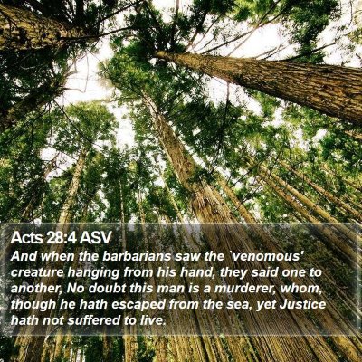 Acts 28:4 ASV Bible Verse Image