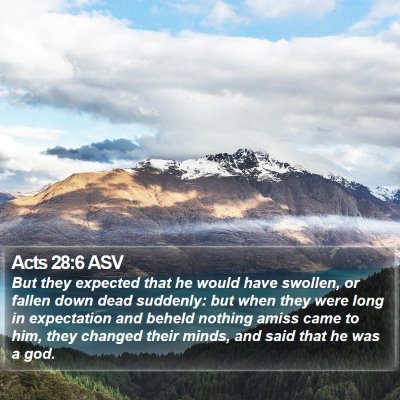 Acts 28:6 ASV Bible Verse Image