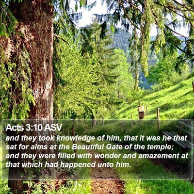 Acts 3:10 ASV Bible Verse Image