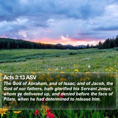 Acts 3:13 ASV Bible Verse Image