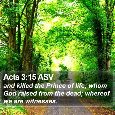 Acts 3:15 ASV Bible Verse Image