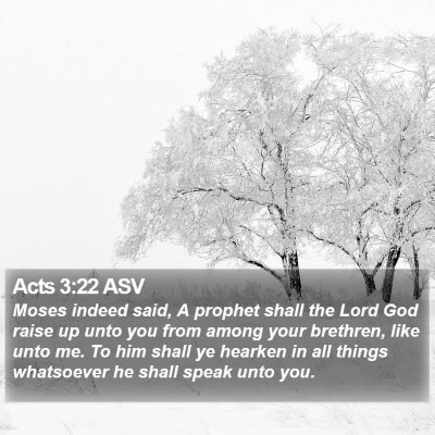Acts 3:22 ASV Bible Verse Image