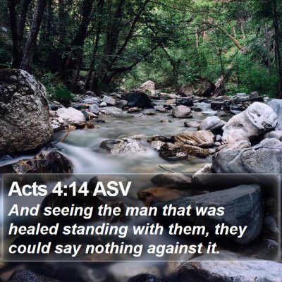 Acts 4:14 ASV Bible Verse Image