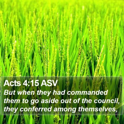 Acts 4:15 ASV Bible Verse Image