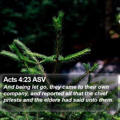 Acts 4:23 ASV Bible Verse Image