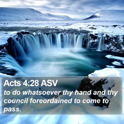 Acts 4:28 ASV Bible Verse Image