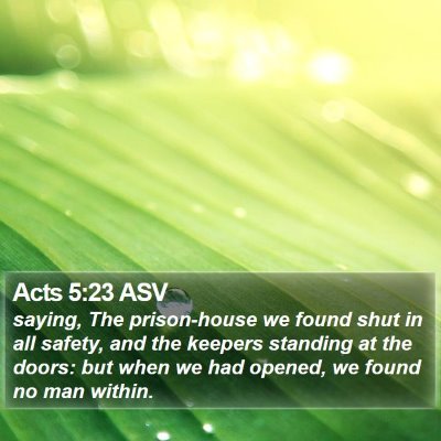 Acts 5:23 ASV Bible Verse Image