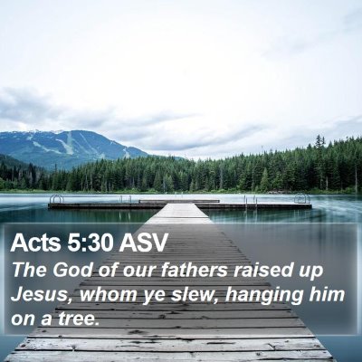 Acts 5:30 ASV Bible Verse Image
