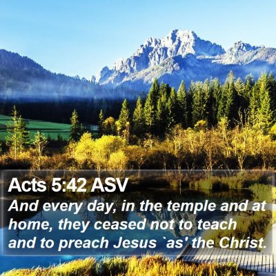 Acts 5:42 ASV Bible Verse Image