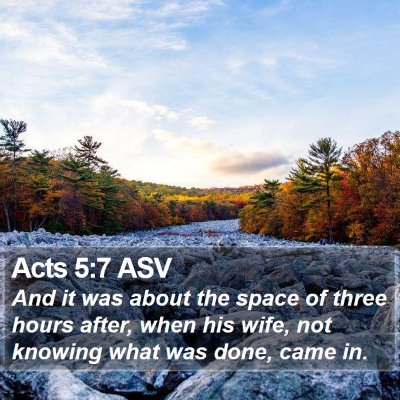 Acts 5:7 ASV Bible Verse Image