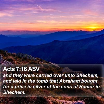 Acts 7:16 ASV Bible Verse Image