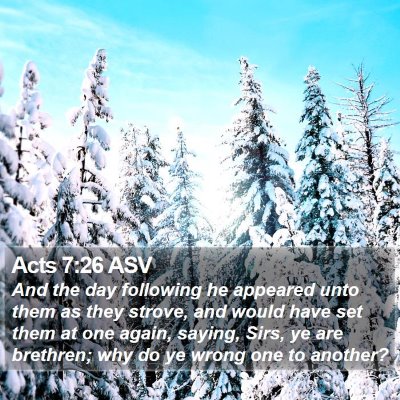 Acts 7:26 ASV Bible Verse Image