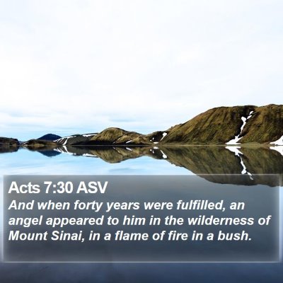 Acts 7:30 ASV Bible Verse Image