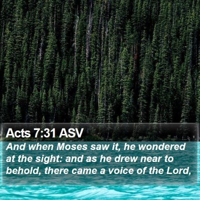 Acts 7:31 ASV Bible Verse Image