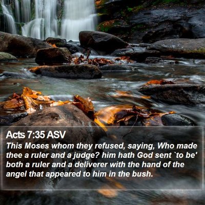 Acts 7:35 ASV Bible Verse Image