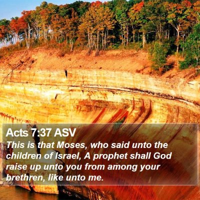 Acts 7:37 ASV Bible Verse Image