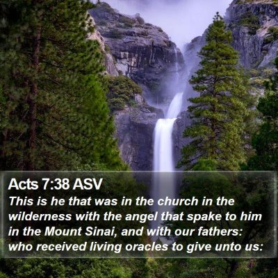 Acts 7:38 ASV Bible Verse Image
