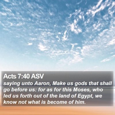 Acts 7:40 ASV Bible Verse Image