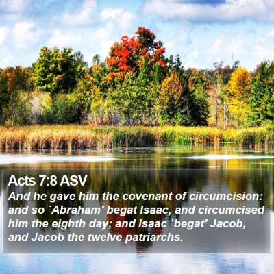 Acts 7:8 ASV Bible Verse Image