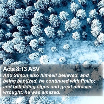 Acts 8:13 ASV Bible Verse Image