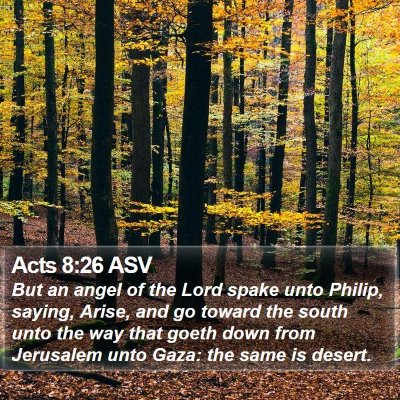Acts 8:26 ASV Bible Verse Image