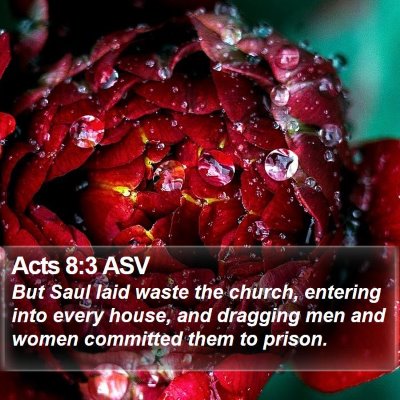 Acts 8:3 ASV Bible Verse Image
