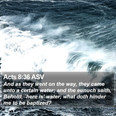 Acts 8:36 ASV Bible Verse Image