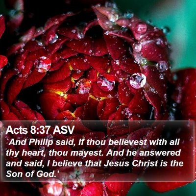 Acts 8:37 ASV Bible Verse Image