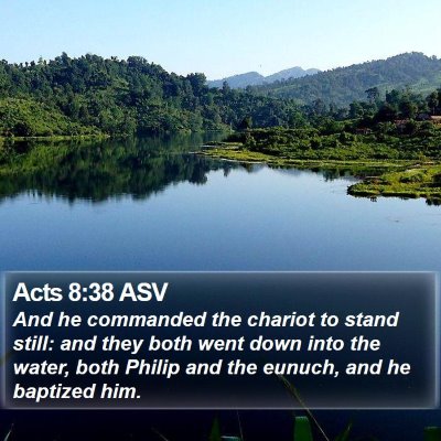Acts 8:38 ASV Bible Verse Image