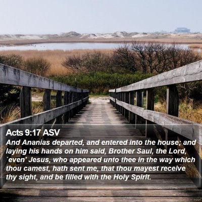 Acts 9:17 ASV Bible Verse Image
