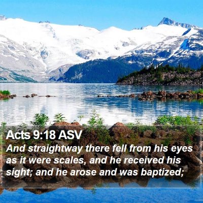 Acts 9:18 ASV Bible Verse Image