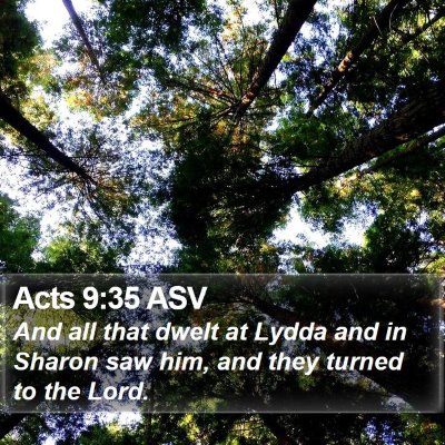 Acts 9:35 ASV Bible Verse Image
