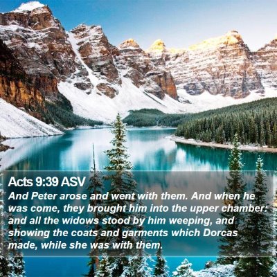 Acts 9:39 ASV Bible Verse Image