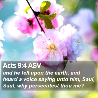 Acts 9:4 ASV Bible Verse Image