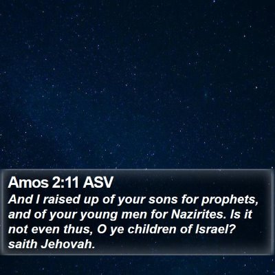 Amos 2:11 ASV Bible Verse Image