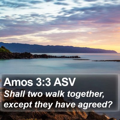 Amos 3:3 ASV Bible Verse Image
