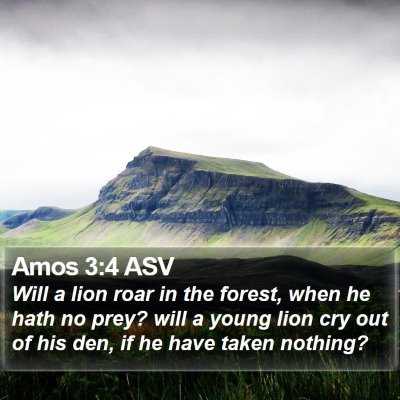 Amos 3:4 ASV Bible Verse Image
