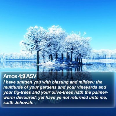 Amos 4:9 ASV Bible Verse Image