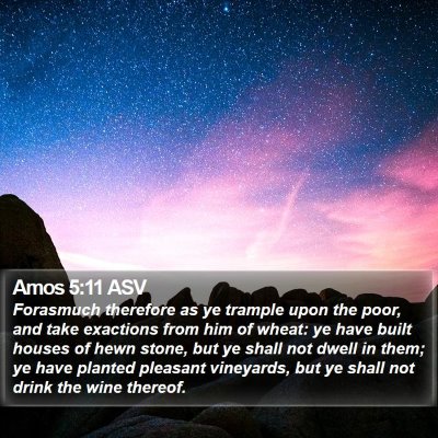 Amos 5:11 ASV Bible Verse Image