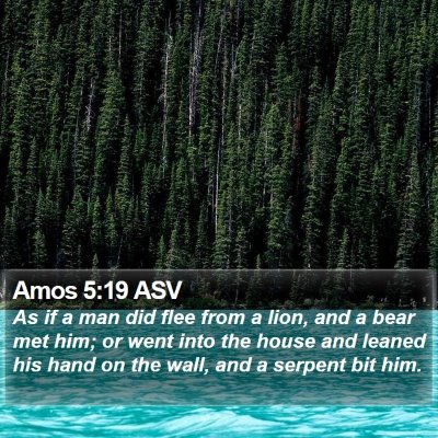 Amos 5:19 ASV Bible Verse Image