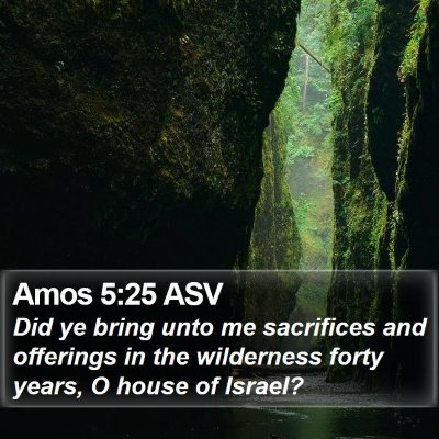 Amos 5:25 ASV Bible Verse Image