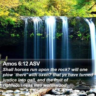 Amos 6:12 ASV Bible Verse Image