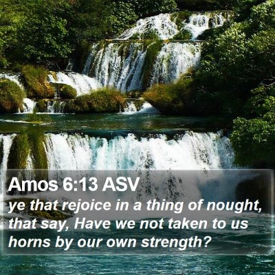 Amos 6:13 ASV Bible Verse Image